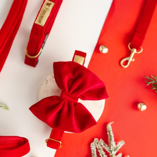 obroża aksamitna dla psa wysoka jakość