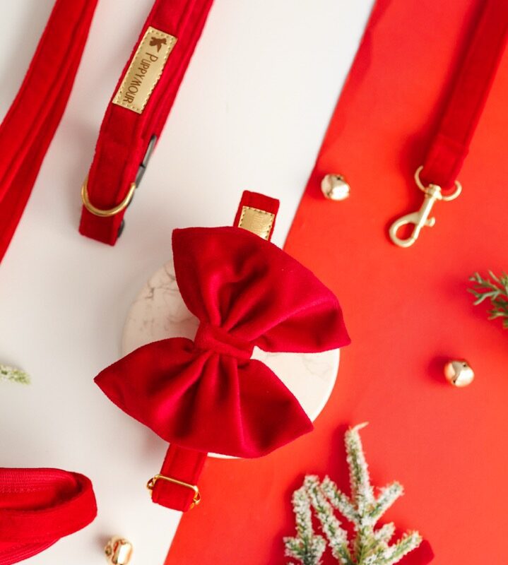 obroża aksamitna dla psa wysoka jakość