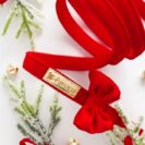 smycz aksamitna dla psa