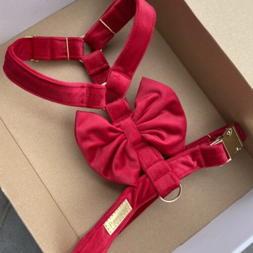 Szelki Aksamitne z kokardą dla psa (Różne kolory)