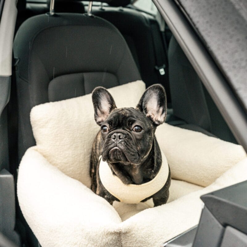 Akcesoria samochodowe