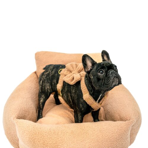 Szelki Teddy - Różne kolory