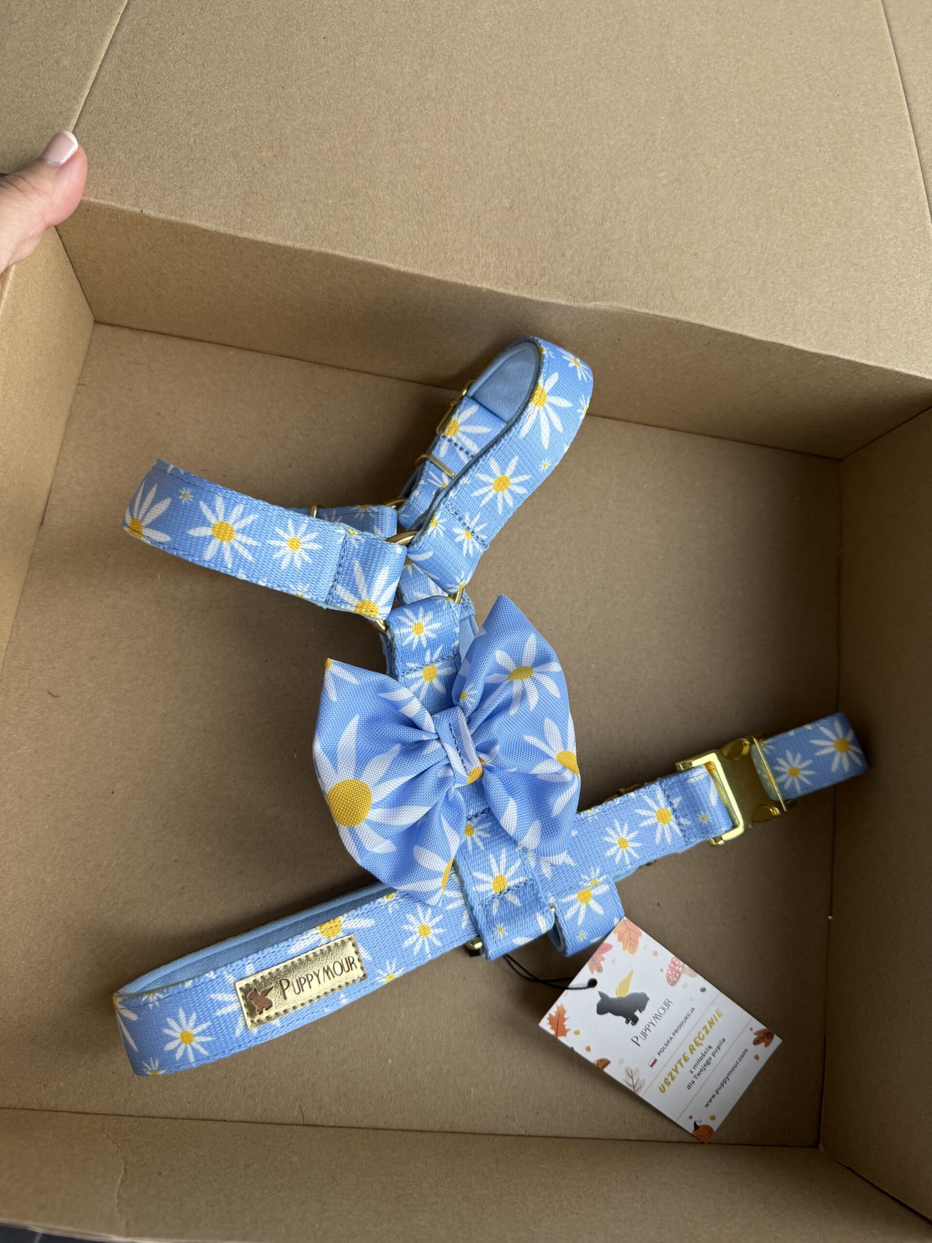 Szelki “Daisy Blue” (M/2,5CM) + kokardka + podszycie