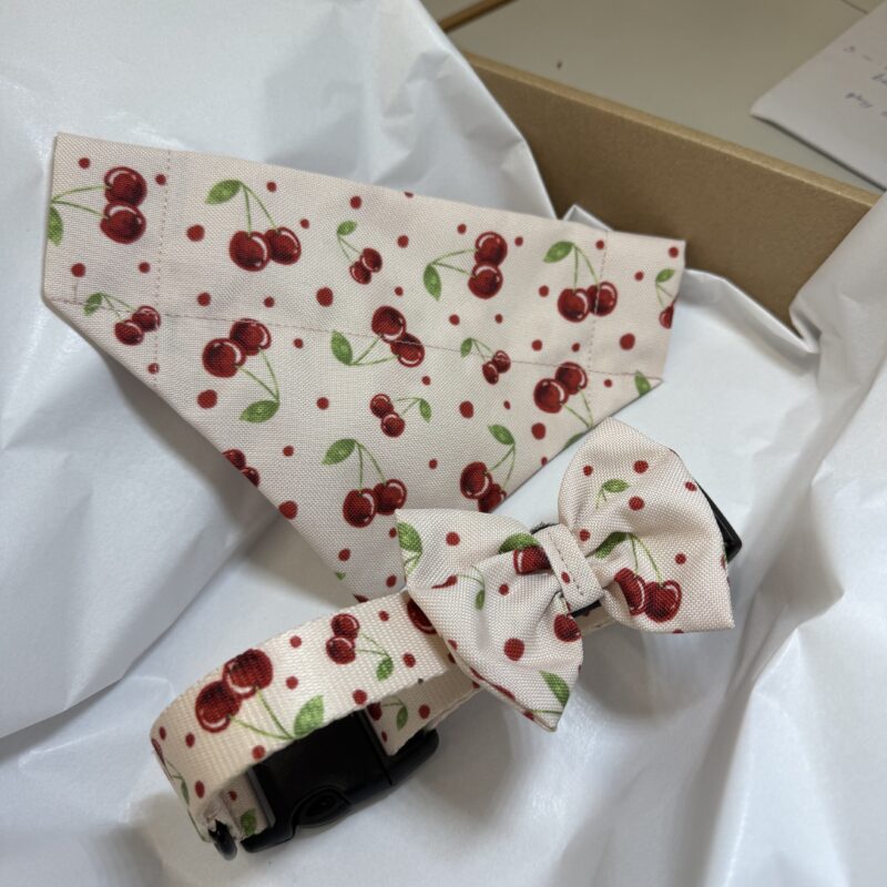 Obroża “Cherry Bloom” (M/2,5CM) + Apaszka + Kokarda