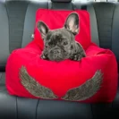 Czerwony, welurowy fotelik samochodowy dla małego psa z odpinanymi skrzydłami Luxury Angel od Puppymour.