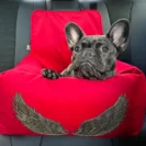 Mały pies bezpiecznie przypięty w luksusowym, welurowym foteliku samochodowym z kolekcji Luxury Angel, produkcja Puppymour.