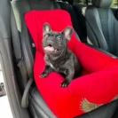 Wnętrze pojemnego fotelika samochodowego dla psa w rozmiarze L, grubo wyściełane materiałem zapewniającym komfort podczas jazdy od Puppymour.