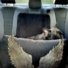 Zbliżenie na miękki czarny welur i odpinane anielskie skrzydła mocowane na rzep w luksusowym foteliku samochodowym dla psa Puppymour.