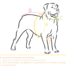 17843318-A520-4F21-A861-1D8781F9AC5B