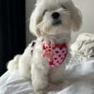 D54C4DDD-2BAC-453F-A472-94B47E5B3E68