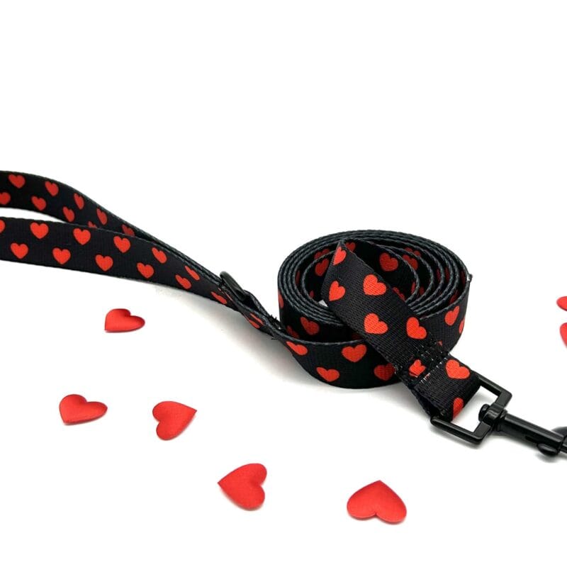 Smycz Przepinana "Black Love"