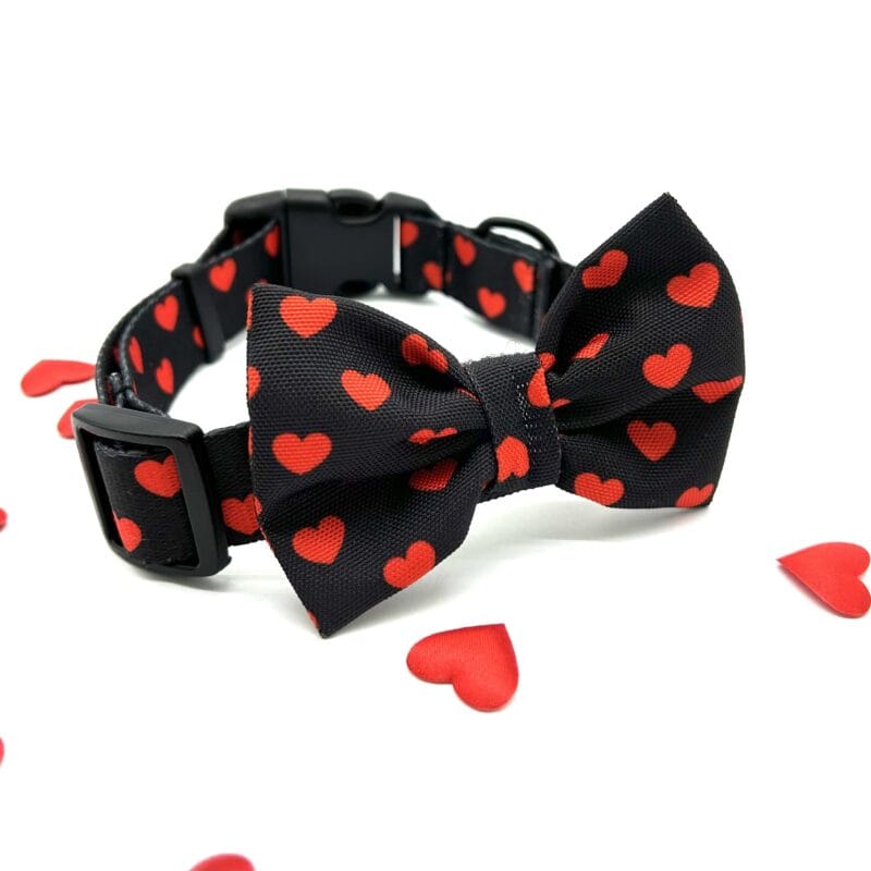 Obroża "Black Love"