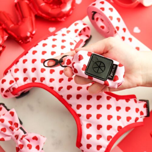 Etui  na kupoworki “Pink Love”