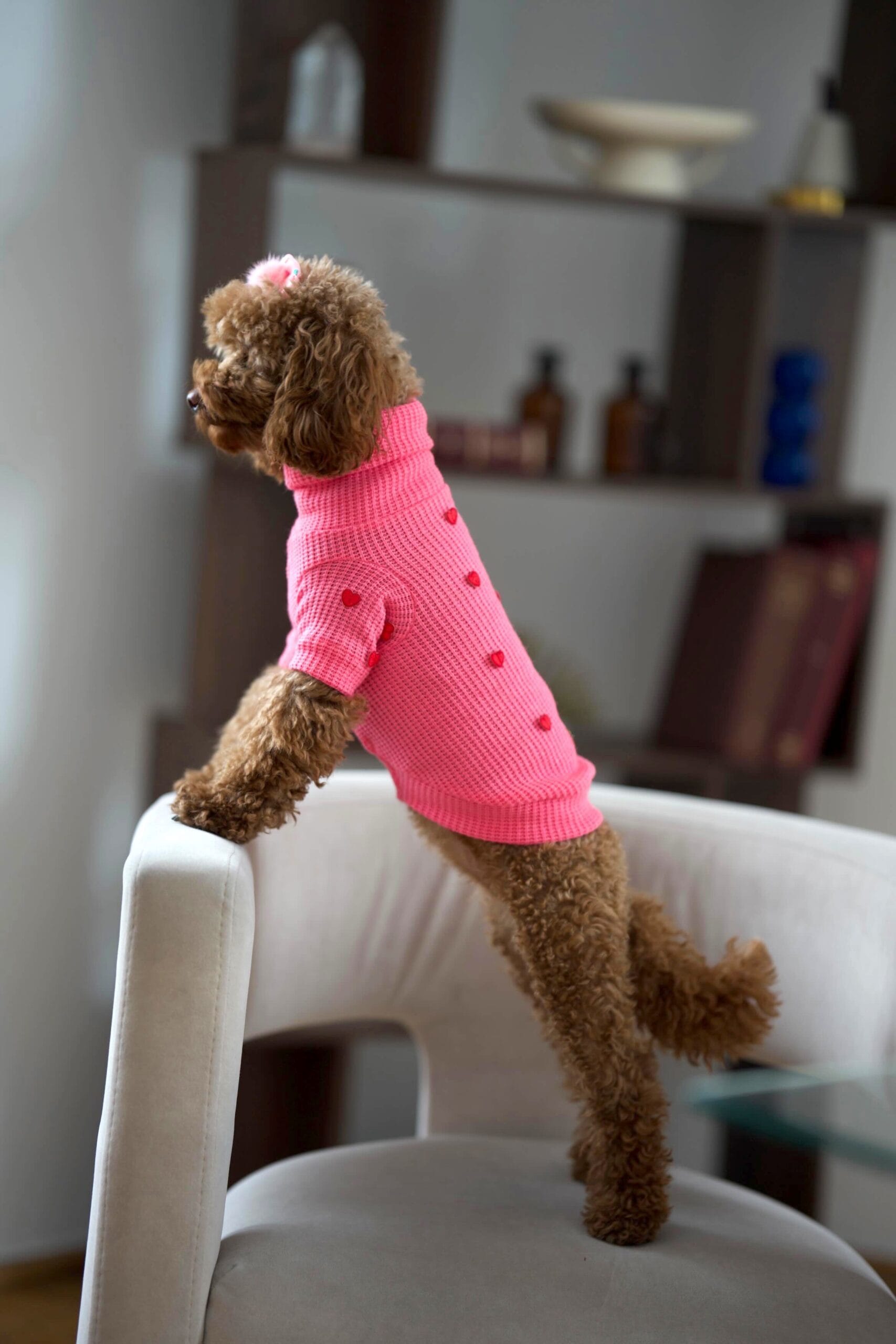 Sweterek "Puppy Love" - obrazek 7