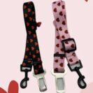 BE27E985-E834-474D-8FF4-92C948A95217