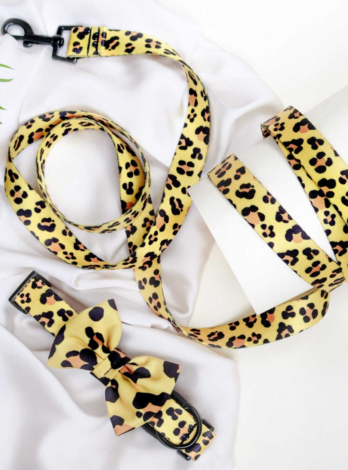 IMG_8861 (1) IMG_8861 (1)