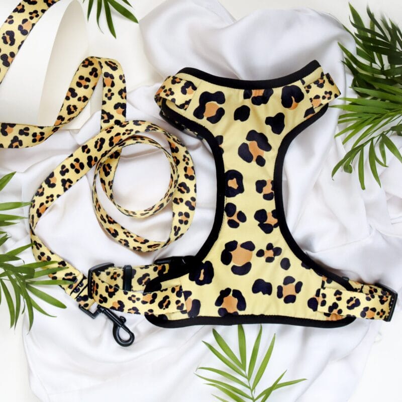 Szelki bezuciskowe "WILD CENTS"