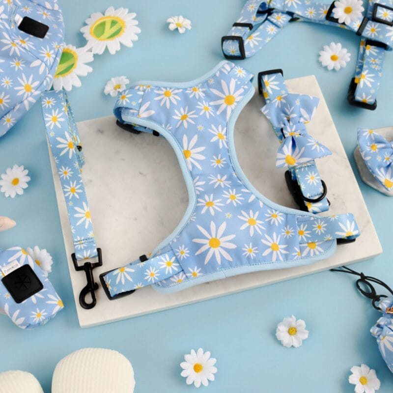 Kolekcja Oh My Daisy