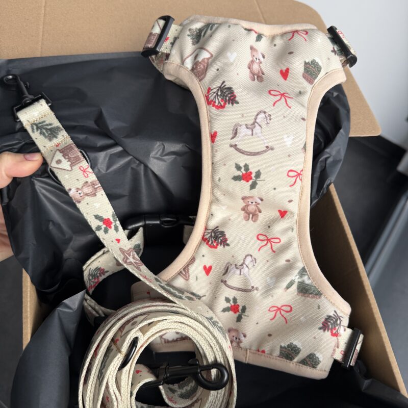 Szelki bezuciskowe „Beige Winter” (M/2.5CM) + Smycz przepinana (2,5M/2,5CM)