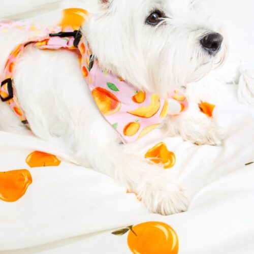 Apaszka "Sweet Peach"