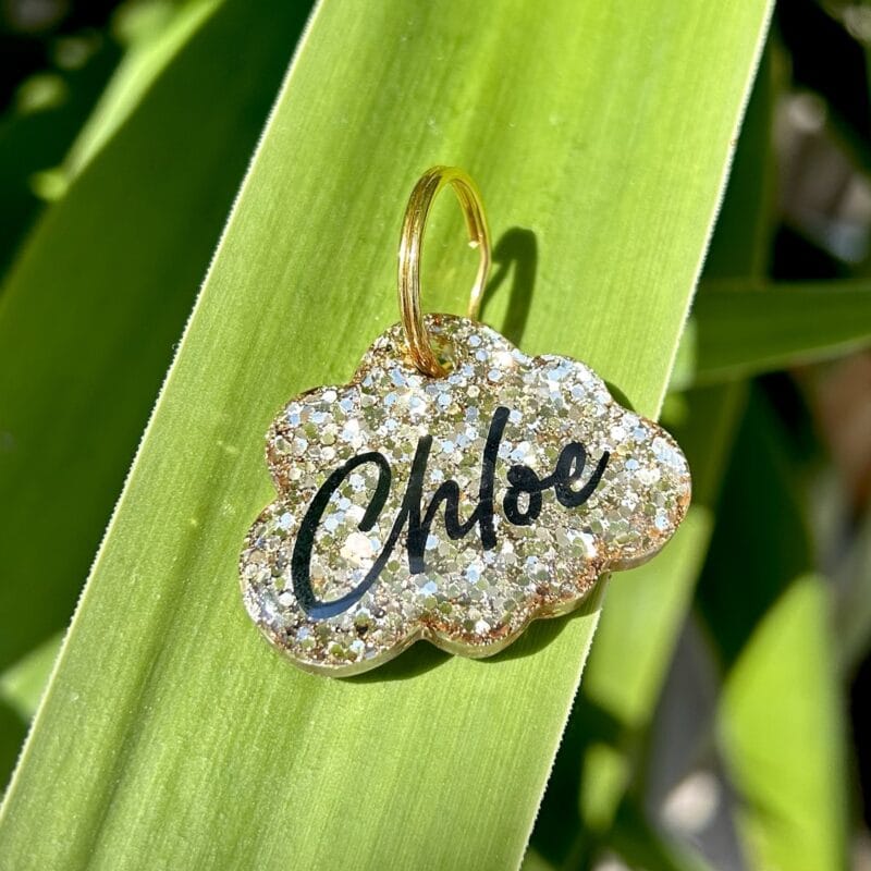 Adresówka "GoldCloud"