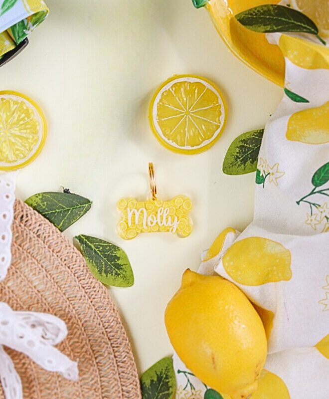 Adresówka "Cyprus Lemon"