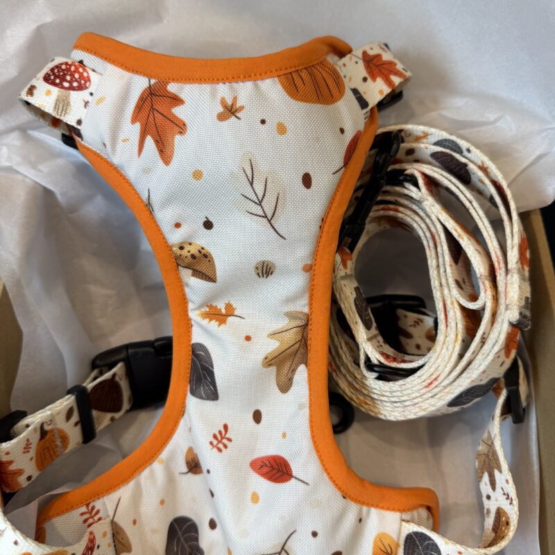 Zestaw Szelki Bezuciskowe “Autumn” (M/2,5CM)+Kokarda + Smycz Przepinana (2,5m/2,5CM)