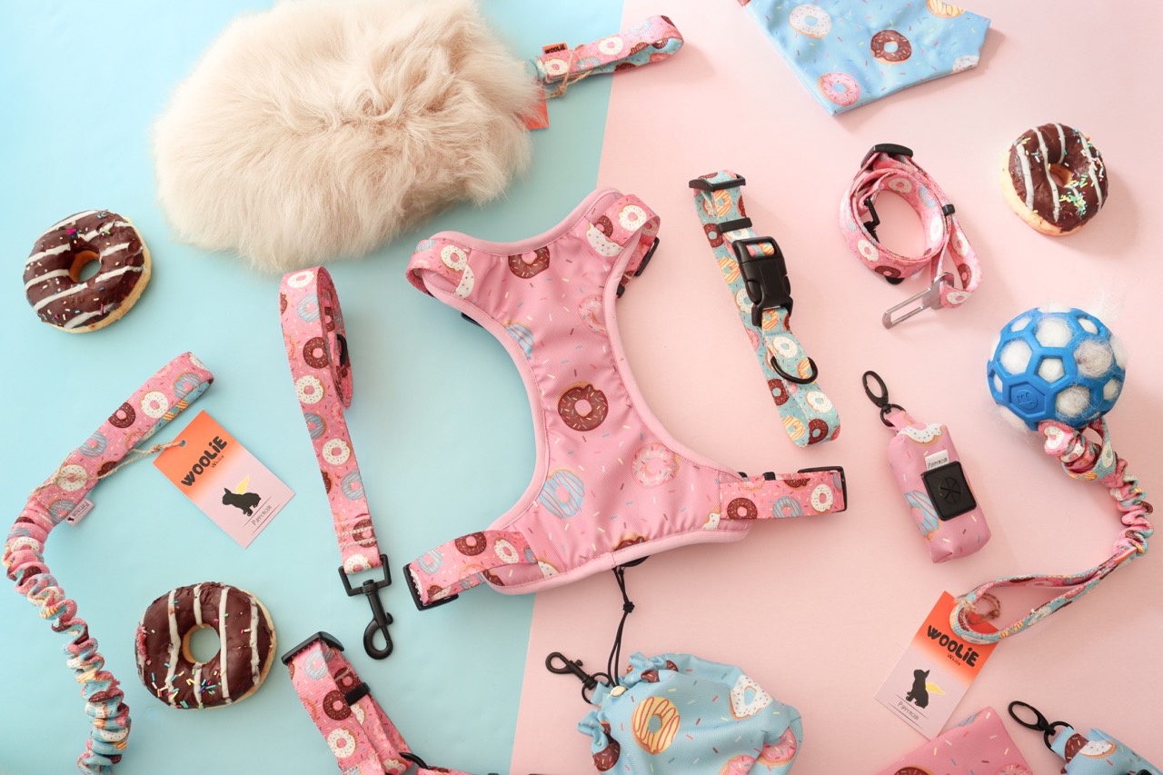 ak wybrać odpowiednie akcesoria dla swojego psa