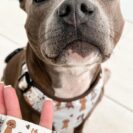 5DD30CAA-19B3-4BA9-BBA7-8B2C3C882ADC Duży