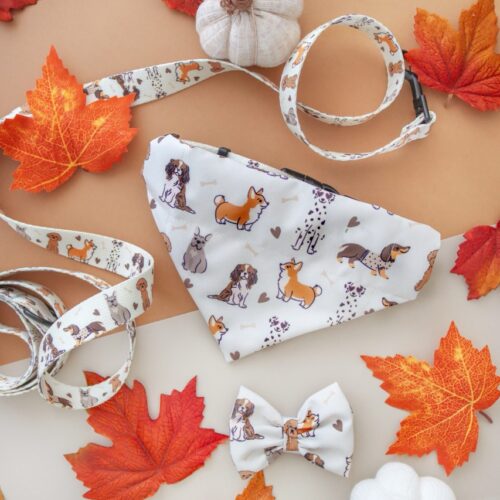 paszka dla psa – Kolekcja Woof – widok całości