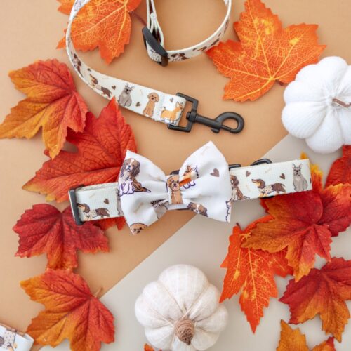 Obroża z motywem piesków – detal zapięcia