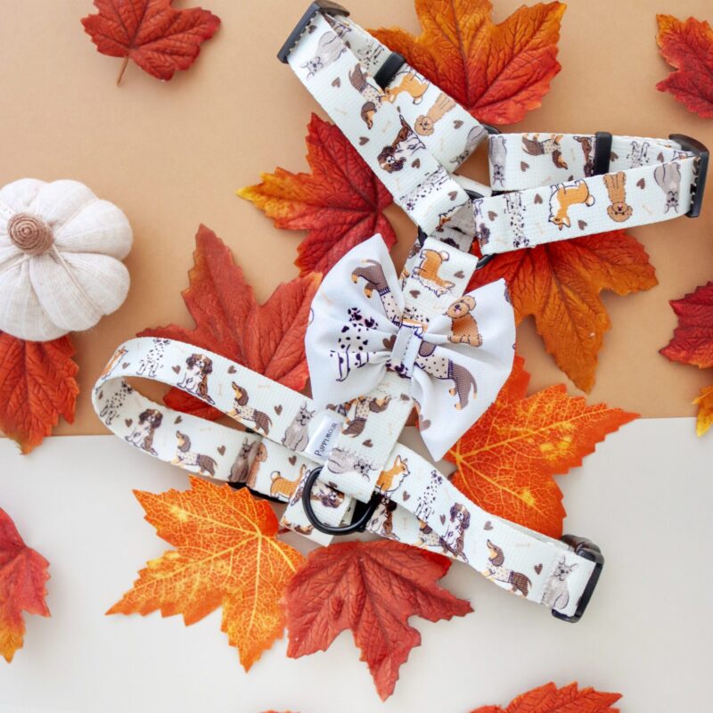 "Szelki guard dla psa – Kolekcja Woof – widok z przodu