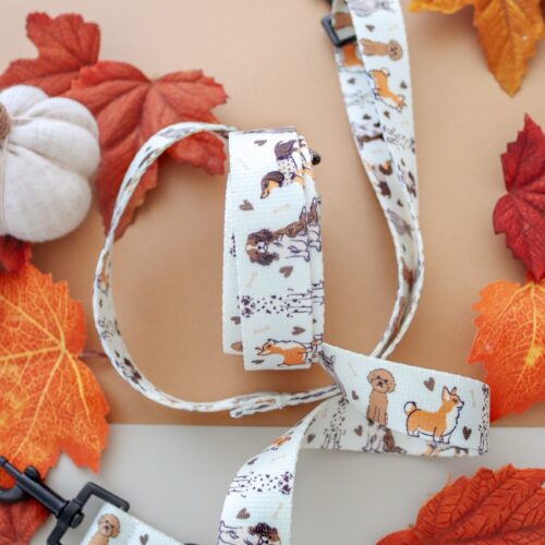 Smycz przepinana dla psa – Kolekcja Woof – widok całości