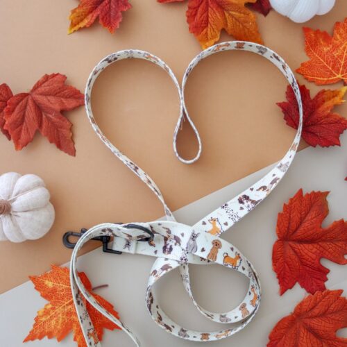 Smycz dla psa – Kolekcja Woof – widok całości