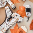 smycz-woof-karabinczyk