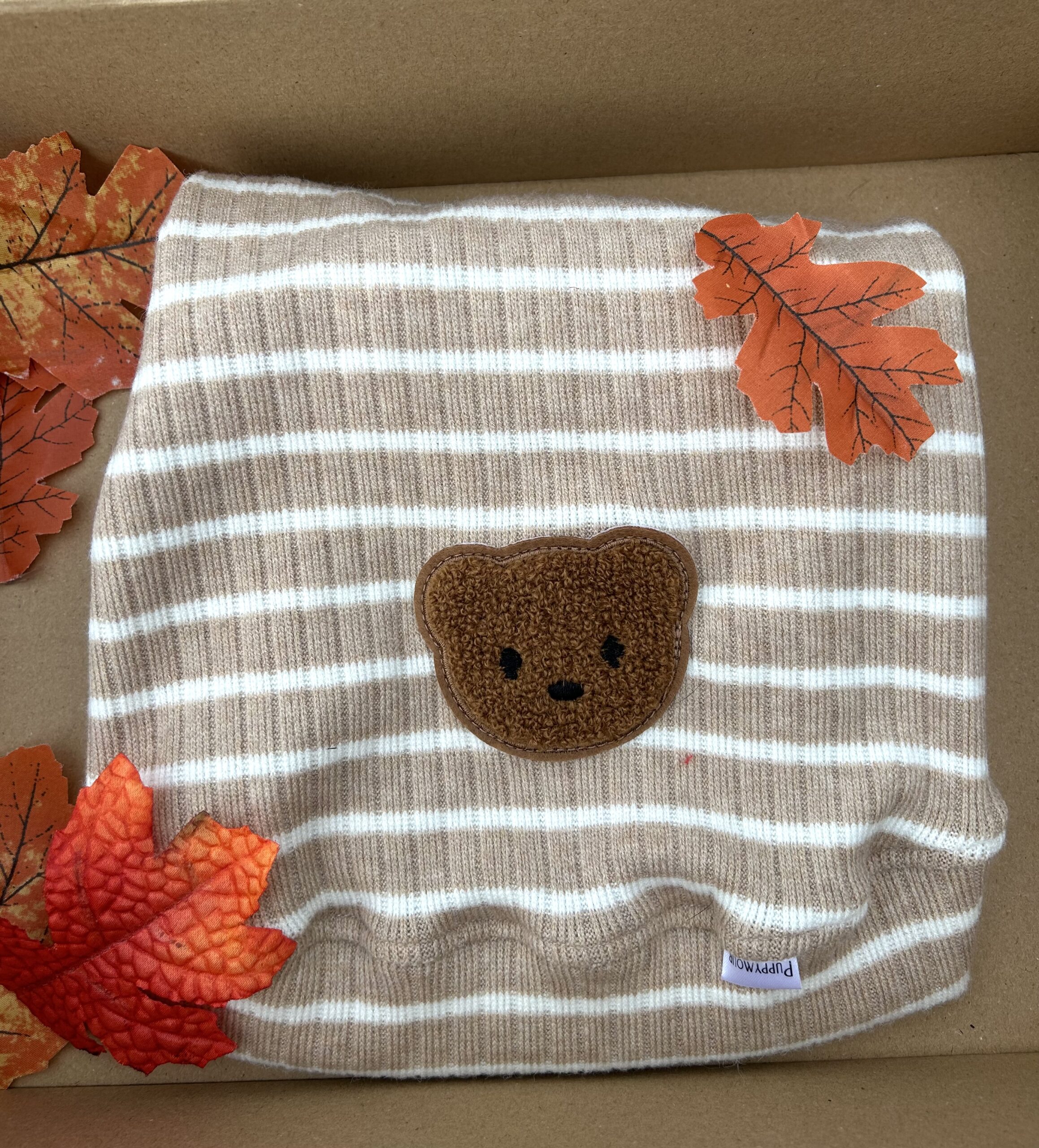 Sweter dla psa AUTUMN TEDDY – widok z przodu