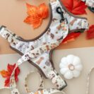 Szelki bezuciskowe dla psa – Kolekcja Woof – widok z przodu