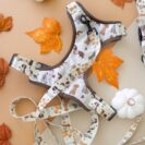 szelki-bezuciskowe-woof-przod.