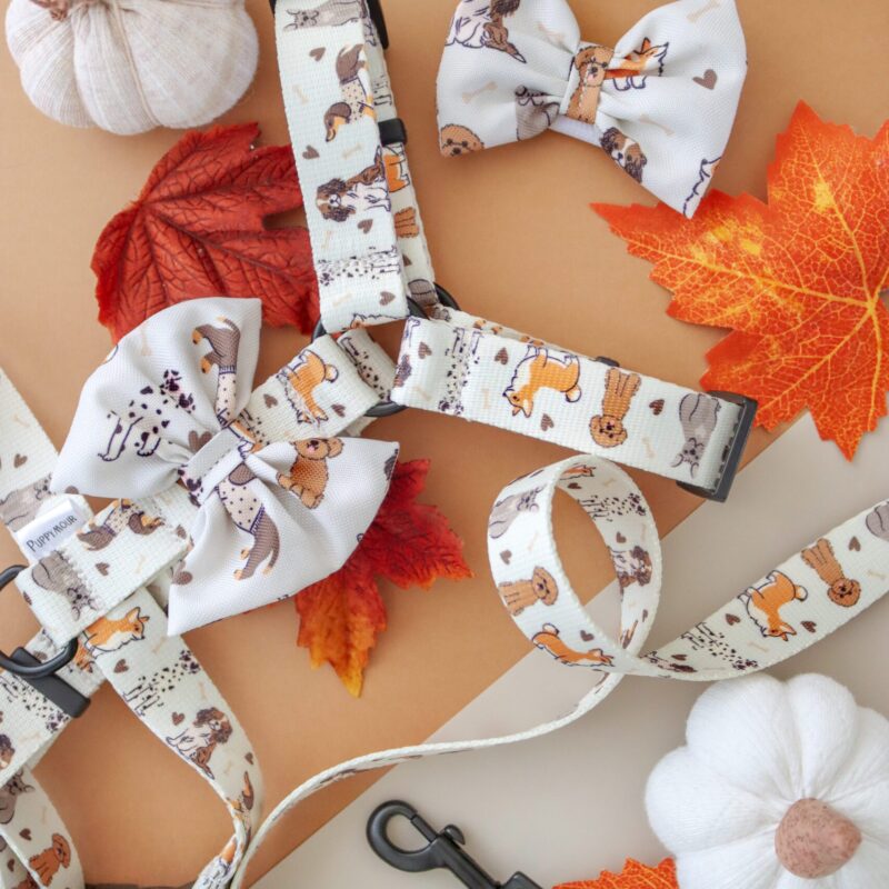 szelki-guard-woof-przod