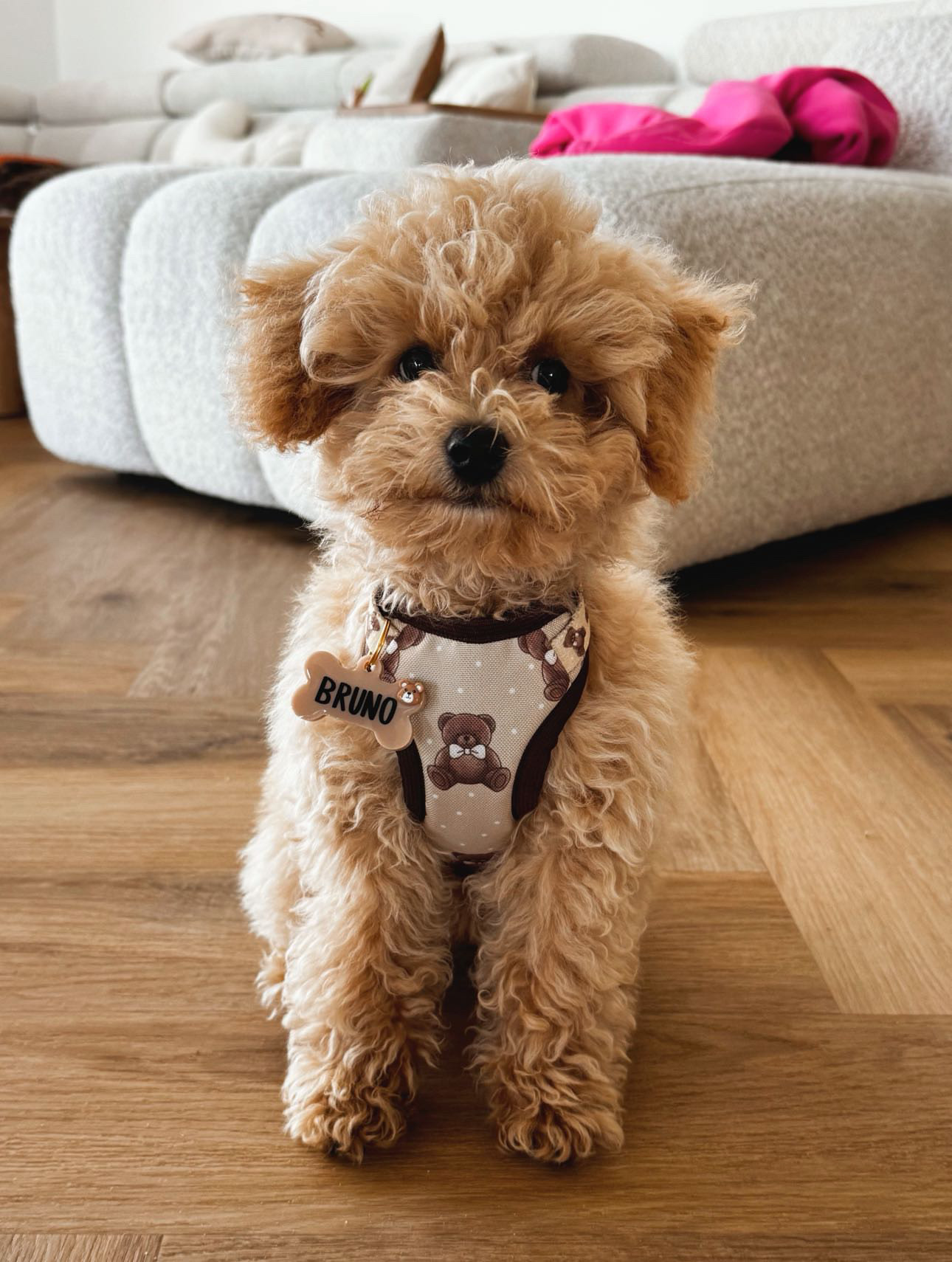 Szelki bezuciskowe "Teddy Bear" - obrazek 12