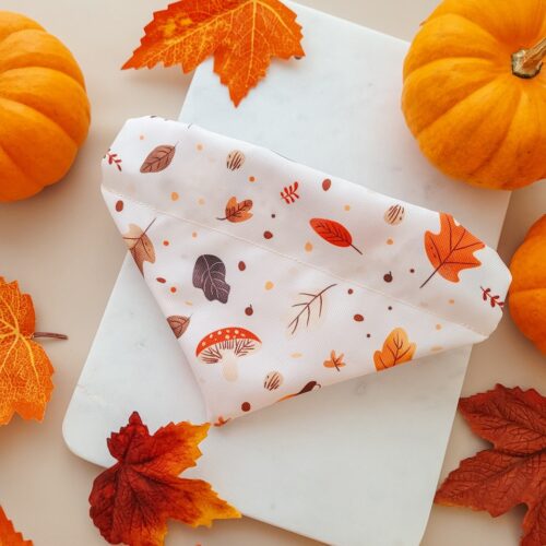 apaszka-dla-psa-autumn-przod