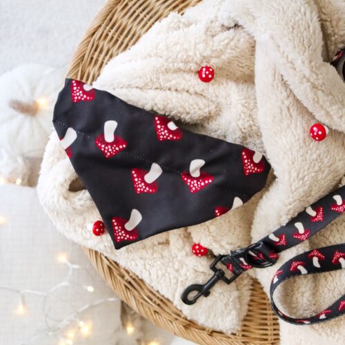 Apaszka Mushrooms dla psa – widok ogólny