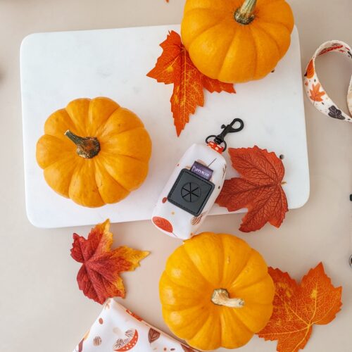 Etui na kupoworki – Kolekcja Autumn – widok z przodu