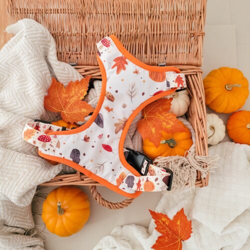 Szelki bezuciskowe dla psa – Kolekcja Autumn – widok z przodu