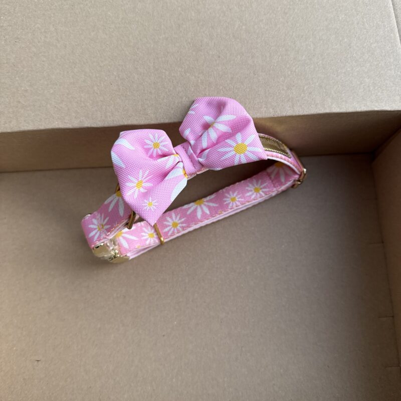 Obroża “Daisy Pink” (S / 2CM) + Kokarda na stałe