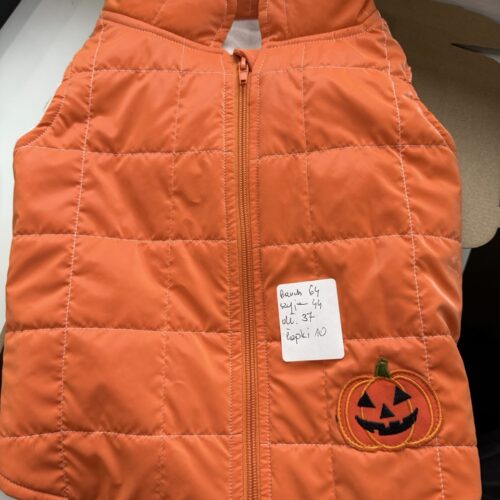 Jesienna cieńsza kurtka na buldoga francuskiego 2