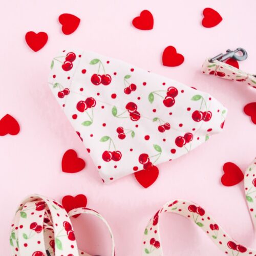 Apaszka Cherry Bloom dla psa – elegancki dodatek