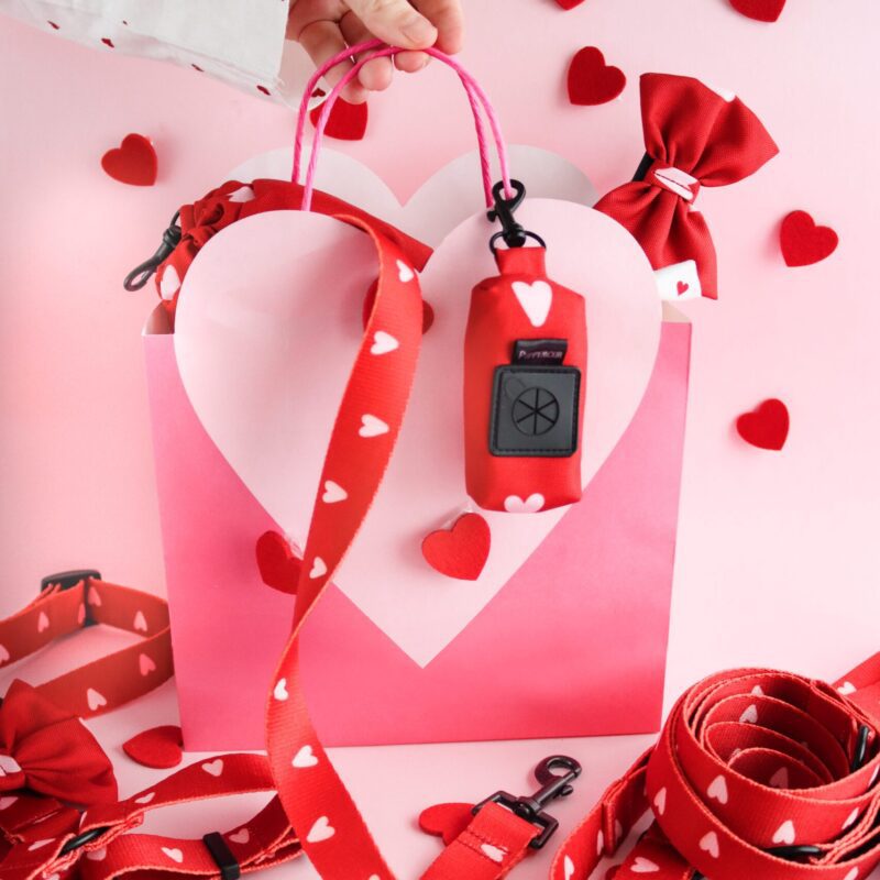 Etui Red Love z zaczepem do smyczy i szelek