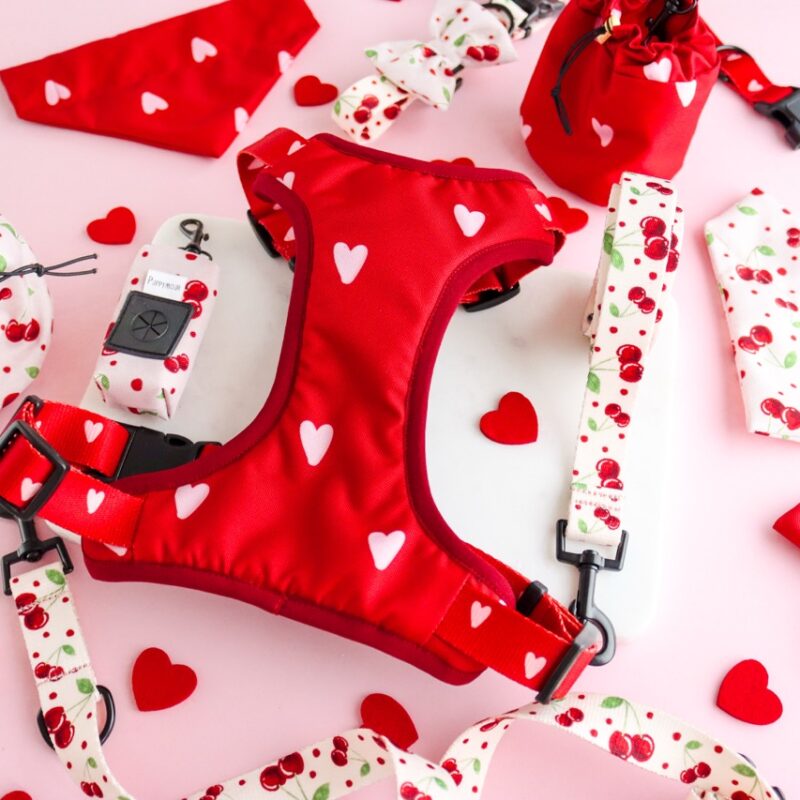 Kolekcja Cherry Bloom