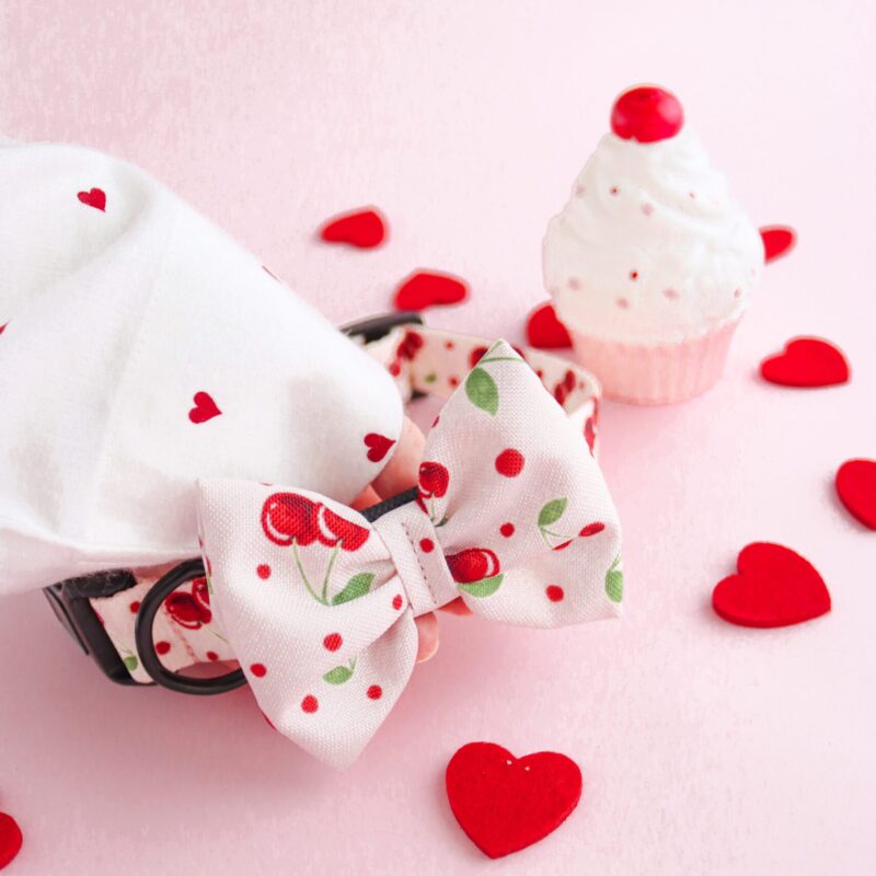 Obroża Cherry Bloom dla psa – elegancka i wytrzymała